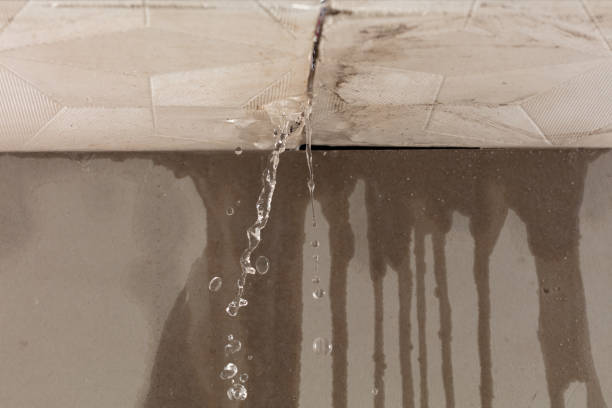 Professional Sewage Cleanup technician working in Stafford, OH